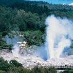 Whakarewarewa_300