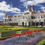 dunedin2