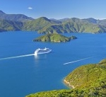 wellington2